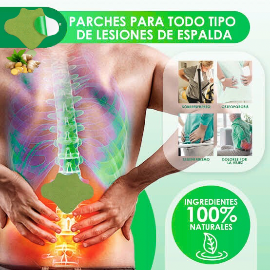 PARCHE DOLOR COLUMNA X10 2521