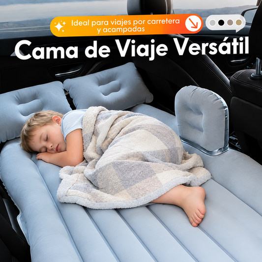 CarRest Pro™