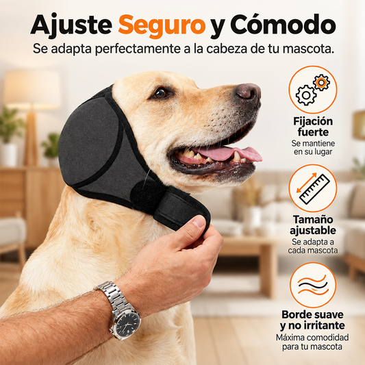 CalmDog™